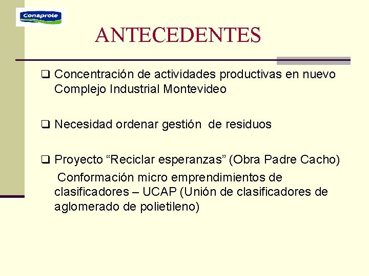 ANTECEDENTES q Concentración de actividades productivas en nuevo Complejo Industrial Montevideo q Necesidad ordenar ANTECEDENTES q Concentración de actividades productivas en nuevo Complejo Industrial Montevideo q Necesidad ordenar