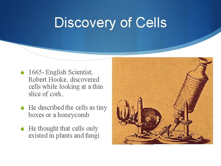 Discovery of Cells S 1665 - English Scientist, Robert Hooke, discovered cells while looking