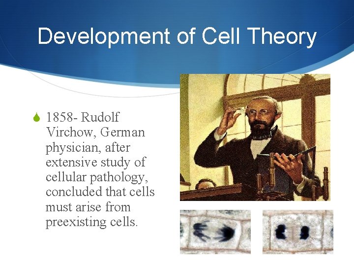 Development of Cell Theory S 1858 - Rudolf Virchow, German physician, after extensive study