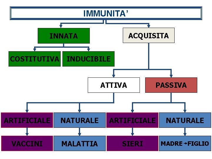 IMMUNITA’ ACQUISITA INNATA COSTITUTIVA INDUCIBILE ATTIVA PASSIVA ARTIFICIALE NATURALE VACCINI MALATTIA SIERI MADRE FIGLIO