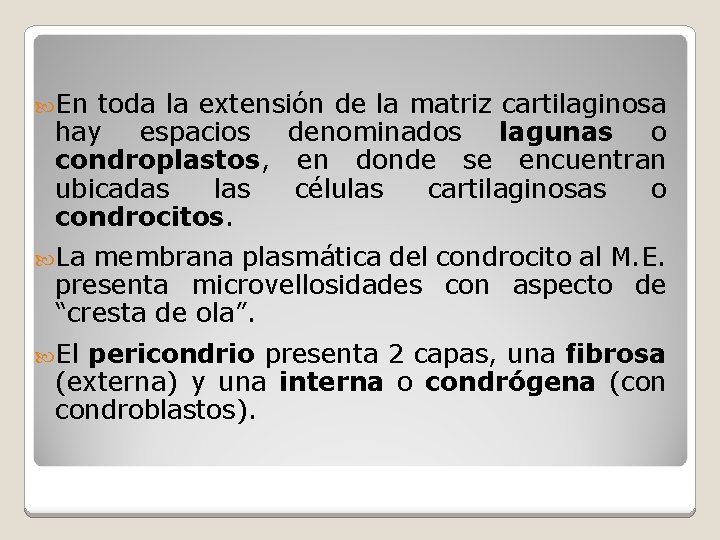  En toda la extensión de la matriz cartilaginosa hay espacios denominados lagunas o