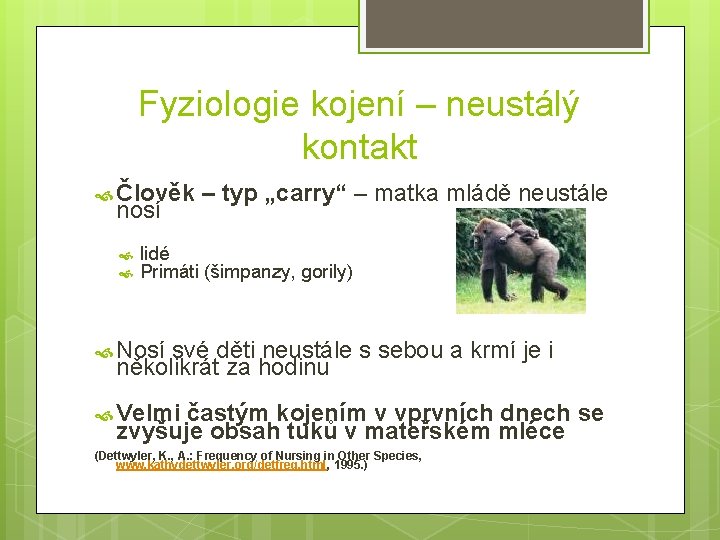 Fyziologie kojení – neustálý kontakt Člověk – typ „carry“ – matka mládě neustále nosí