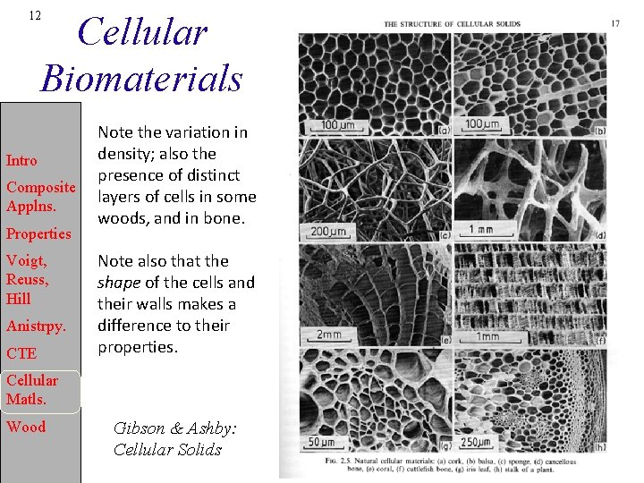 12 Cellular Biomaterials Intro Composite Applns. Properties Voigt, Reuss, Hill Anistrpy. CTE Note the