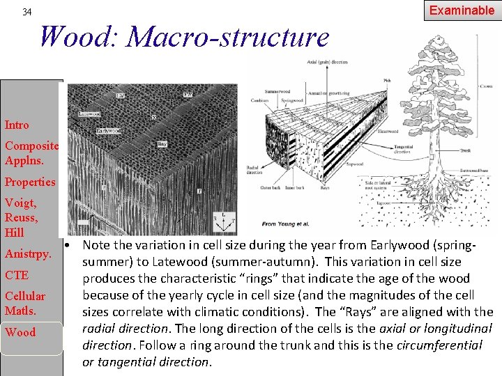 Examinable 34 Wood: Macro-structure Intro Composite Applns. Properties Voigt, Reuss, Hill Anistrpy. CTE Cellular