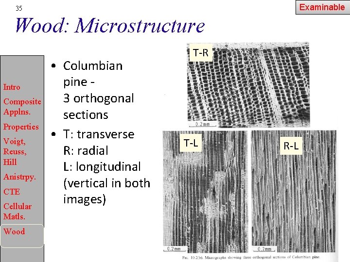 Examinable 35 Wood: Microstructure Intro Composite Applns. Properties Voigt, Reuss, Hill Anistrpy. CTE Cellular