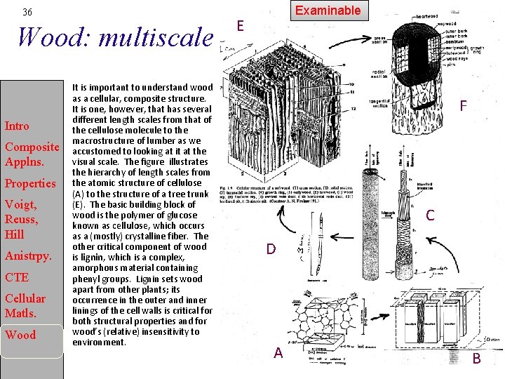 36 Wood: multiscale Intro Composite Applns. Properties Voigt, Reuss, Hill Anistrpy. CTE Cellular Matls.