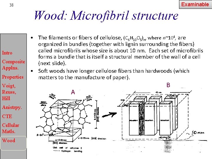 Examinable 38 Wood: Microfibril structure • The filaments or fibers of cellulose, (C 6