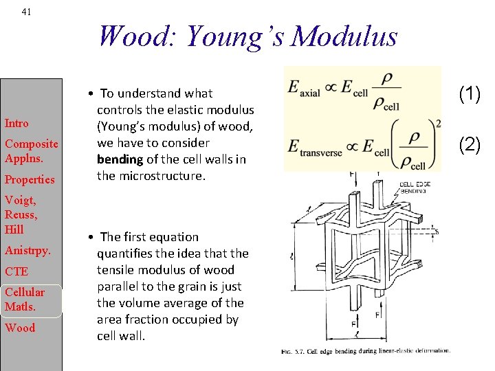41 Wood: Young’s Modulus Intro Composite Applns. Properties Voigt, Reuss, Hill Anistrpy. CTE Cellular
