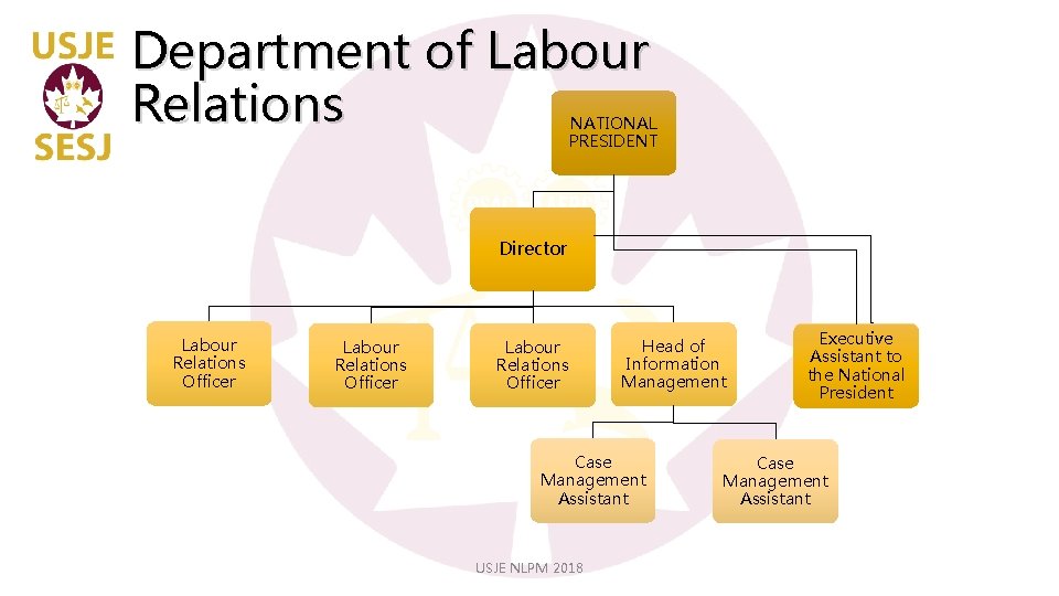 Department of Labour Relations NATIONAL PRESIDENT Director Labour Relations Officer Head of Information Management