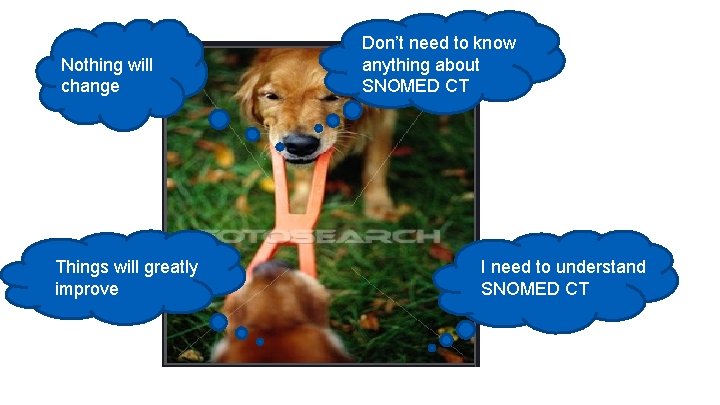 Nothing will change Things will greatly improve Don’t need to know anything about SNOMED