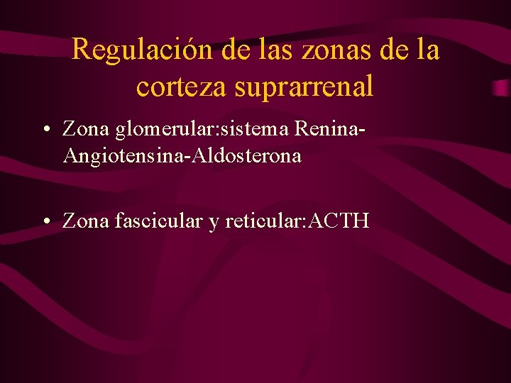 Regulación de las zonas de la corteza suprarrenal • Zona glomerular: sistema Renina. Angiotensina-Aldosterona