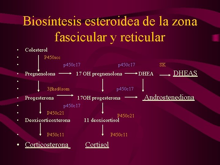 Biosíntesis esteroidea de la zona fascicular y reticular • • • Colesterol • •