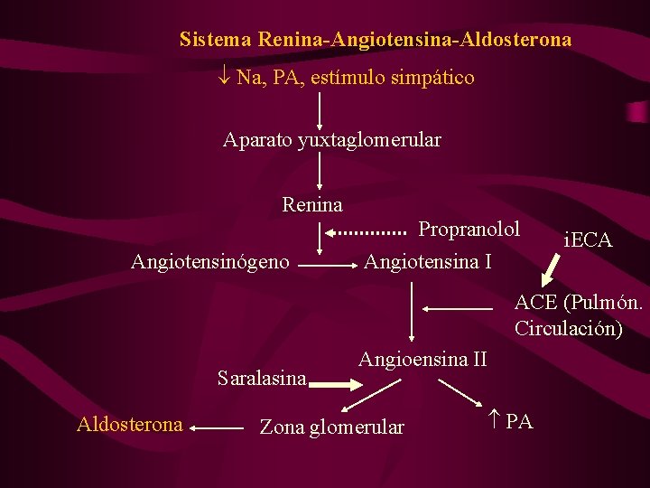 Sistema Renina-Angiotensina-Aldosterona Na, PA, estímulo simpático Aparato yuxtaglomerular Renina Angiotensinógeno Propranolol Angiotensina I i.