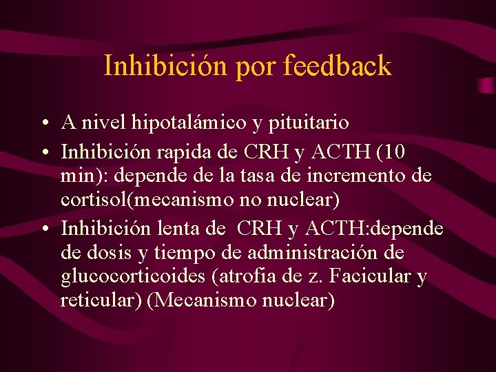 Inhibición por feedback • A nivel hipotalámico y pituitario • Inhibición rapida de CRH