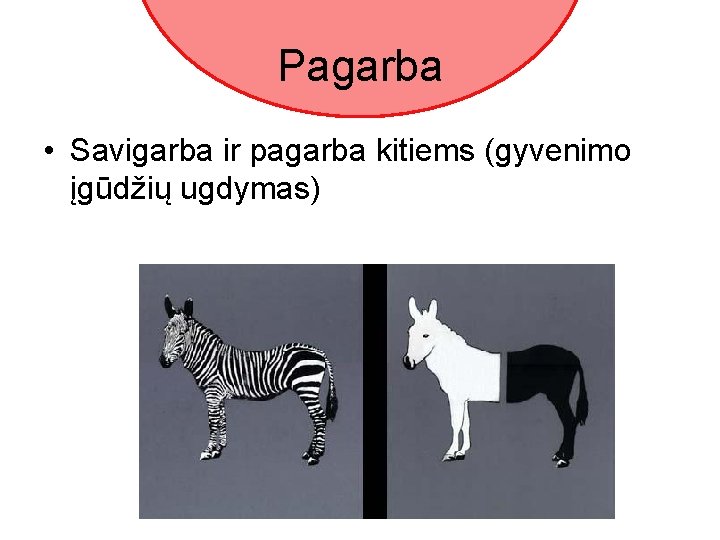 Pagarba • Savigarba ir pagarba kitiems (gyvenimo įgūdžių ugdymas) 