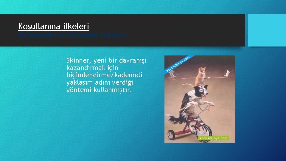 Koşullanma ilkeleri Biçimlendirme/Kademeli Yaklaşım Skinner, yeni bir davranışı kazandırmak için biçimlendirme/kademeli yaklaşım adını verdiği