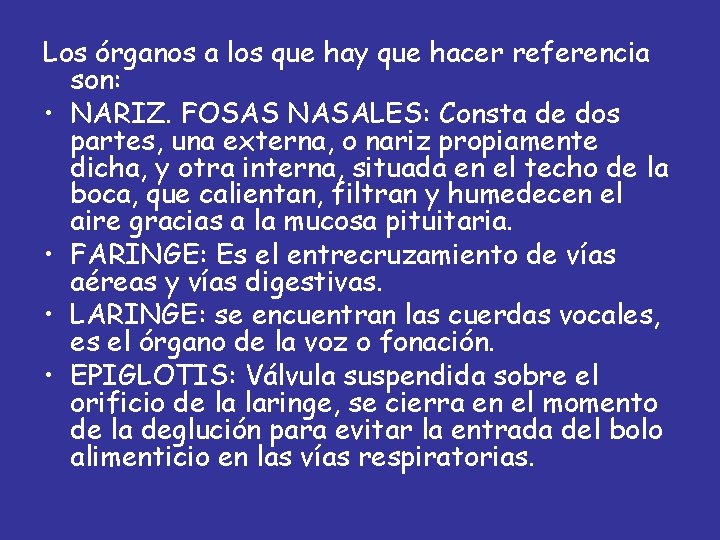 Los órganos a los que hay que hacer referencia son: • NARIZ. FOSAS NASALES: