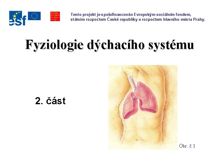 Tento projekt je spolufinancován Evropským sociálním fondem, státním rozpočtem České republiky a rozpočtem hlavního