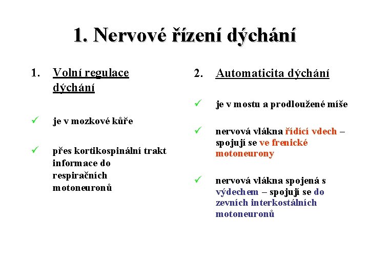 1. Nervové řízení dýchání 1. Volní regulace dýchání ü je v mozkové kůře ü