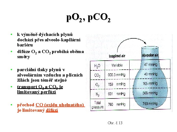 p. O 2, p. CO 2 • k výměně dýchacích plynů dochází přes alveolo-kapilární