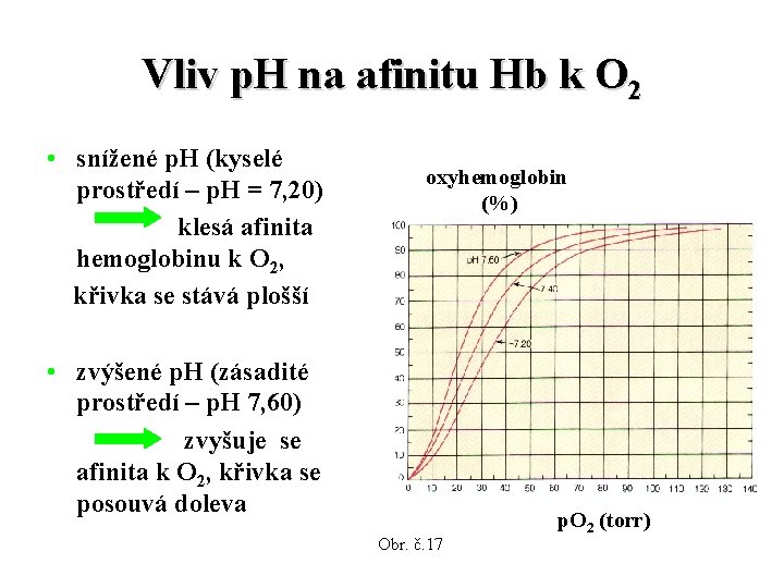 Vliv p. H na afinitu Hb k O 2 • snížené p. H (kyselé