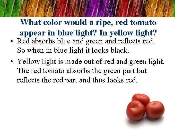 What color would a ripe, red tomato appear in blue light? In yellow light?