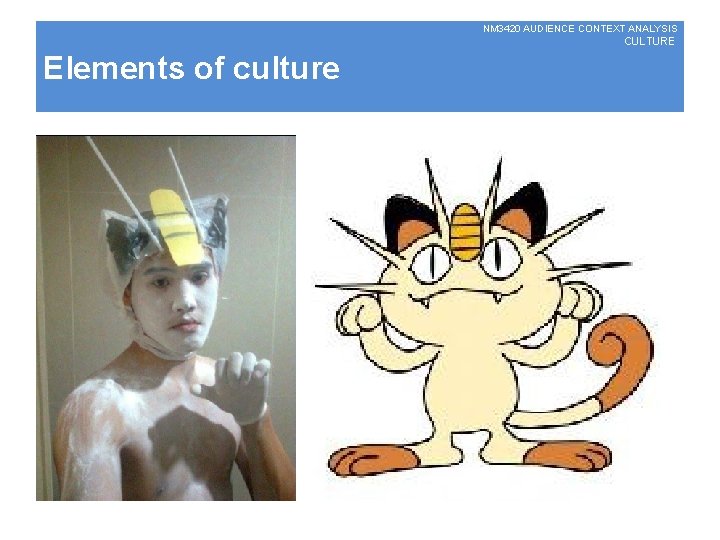 NM 3420 AUDIENCE CONTEXT ANALYSIS CULTURE Elements of culture 