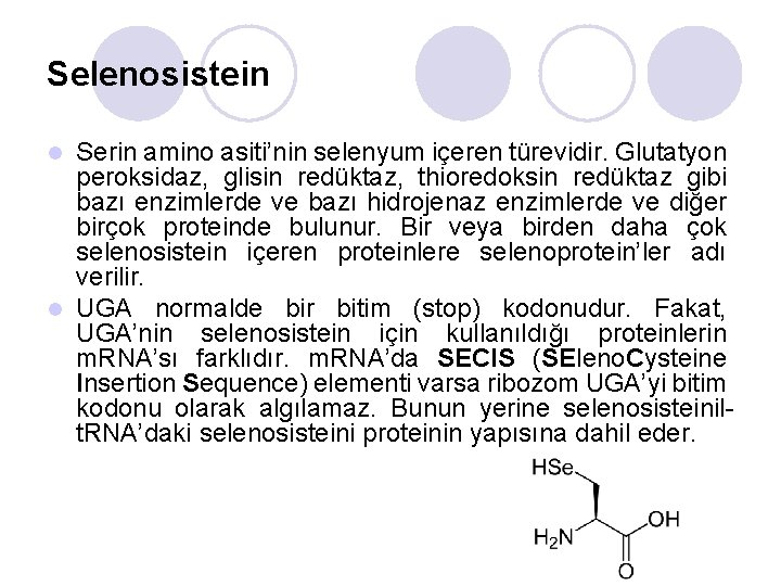 Selenosistein Serin amino asiti’nin selenyum içeren türevidir. Glutatyon peroksidaz, glisin redüktaz, thioredoksin redüktaz gibi
