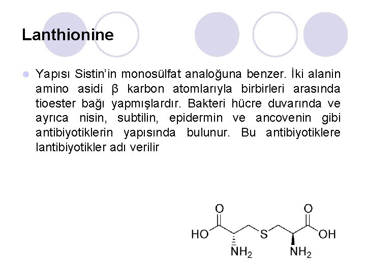Lanthionine l Yapısı Sistin’in monosülfat analoğuna benzer. İki alanin amino asidi β karbon atomlarıyla