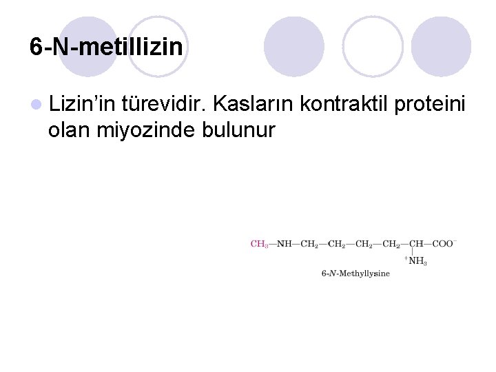 6 -N-metillizin l Lizin’in türevidir. Kasların kontraktil proteini olan miyozinde bulunur 