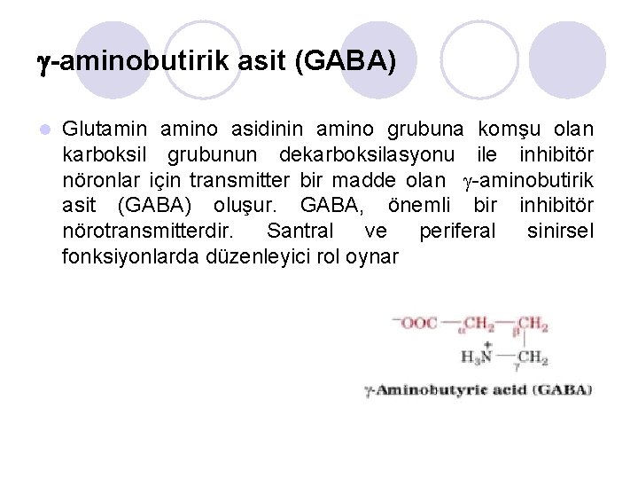  -aminobutirik asit (GABA) l Glutamino asidinin amino grubuna komşu olan karboksil grubunun dekarboksilasyonu