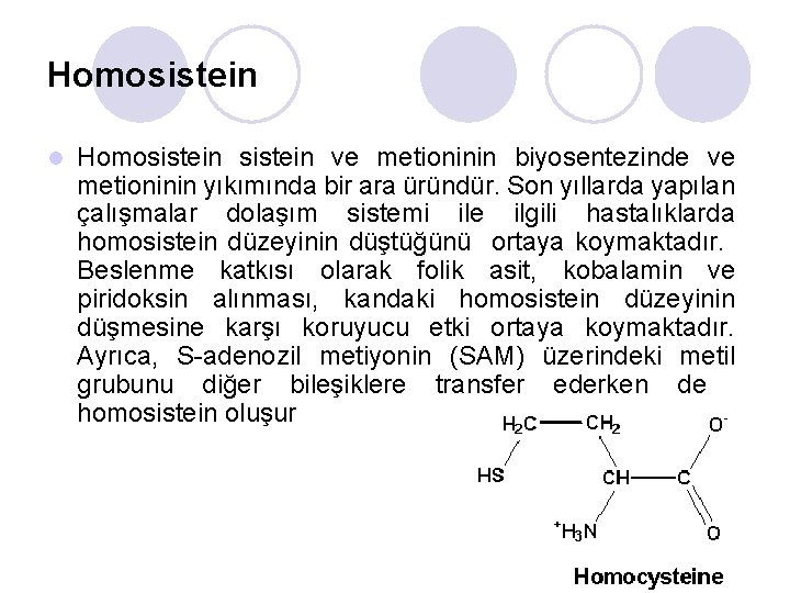 Homosistein l Homosistein ve metioninin biyosentezinde ve metioninin yıkımında bir ara üründür. Son yıllarda