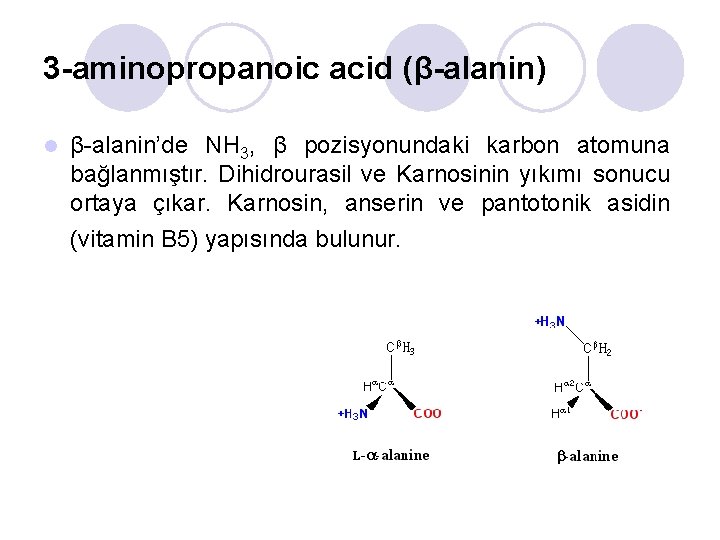 3 -aminopropanoic acid (β-alanin) l β-alanin’de NH 3, β pozisyonundaki karbon atomuna bağlanmıştır. Dihidrourasil