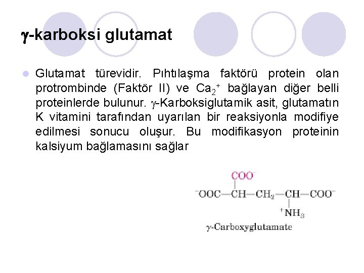  -karboksi glutamat l Glutamat türevidir. Pıhtılaşma faktörü protein olan protrombinde (Faktör II) ve