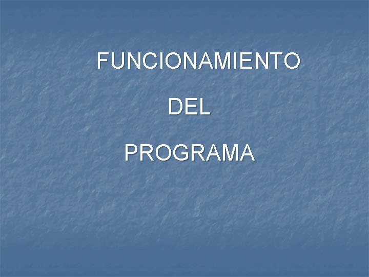 FUNCIONAMIENTO DEL PROGRAMA 