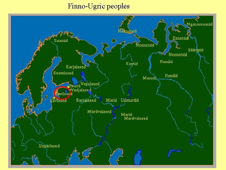 Finno-Ugric peoples 