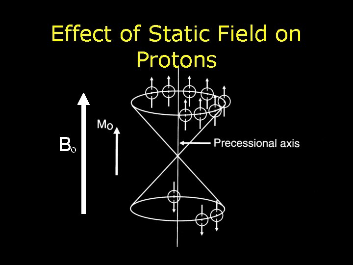 Effect of Static Field on Protons Bo 