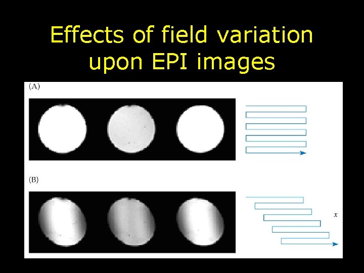 Effects of field variation upon EPI images 