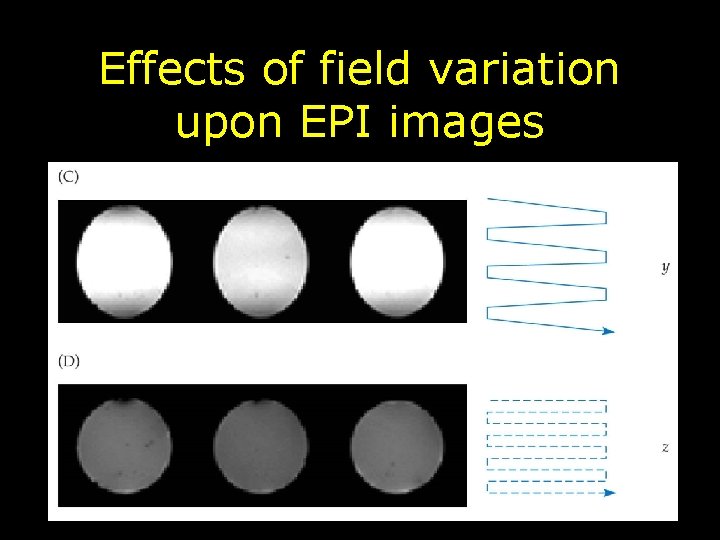 Effects of field variation upon EPI images 