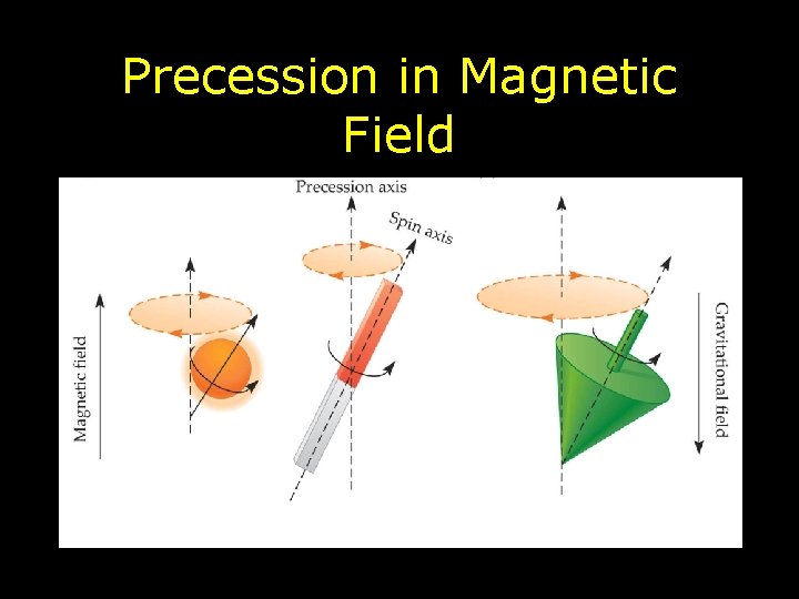 Precession in Magnetic Field 