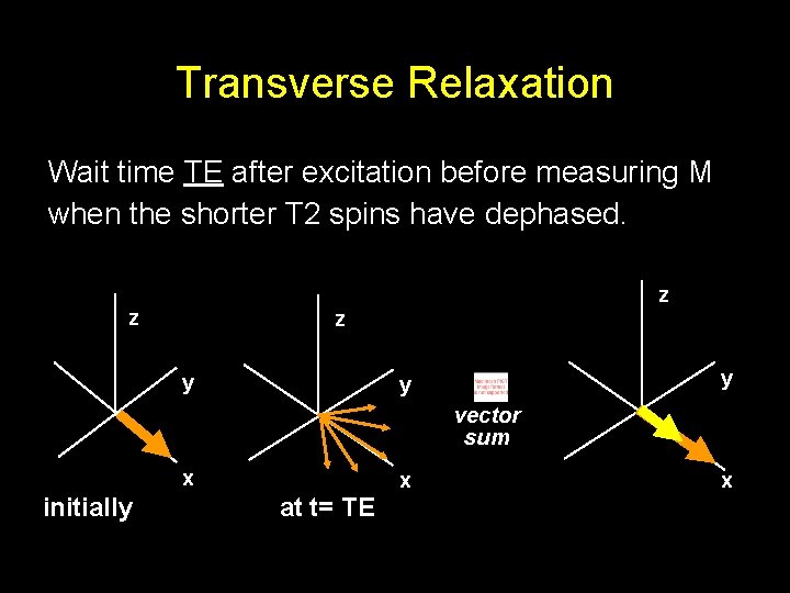 Transverse Relaxation Wait time TE after excitation before measuring M when the shorter T