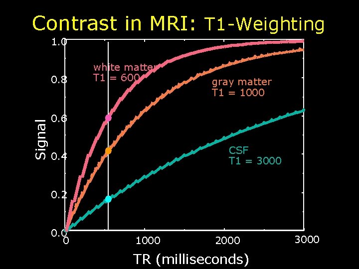 Contrast in MRI: T 1 -Weighting 1. 0 Signal 0. 8 white matter T