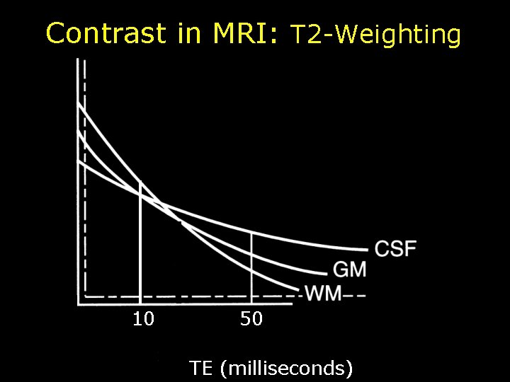 Contrast in MRI: T 2 -Weighting 10 50 TE (milliseconds) 