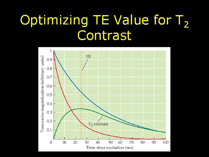 Optimizing TE Value for T 2 Contrast 