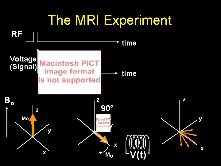 The MRI Experiment RF time Voltage (Signal) time t Mo Bo z z 90°