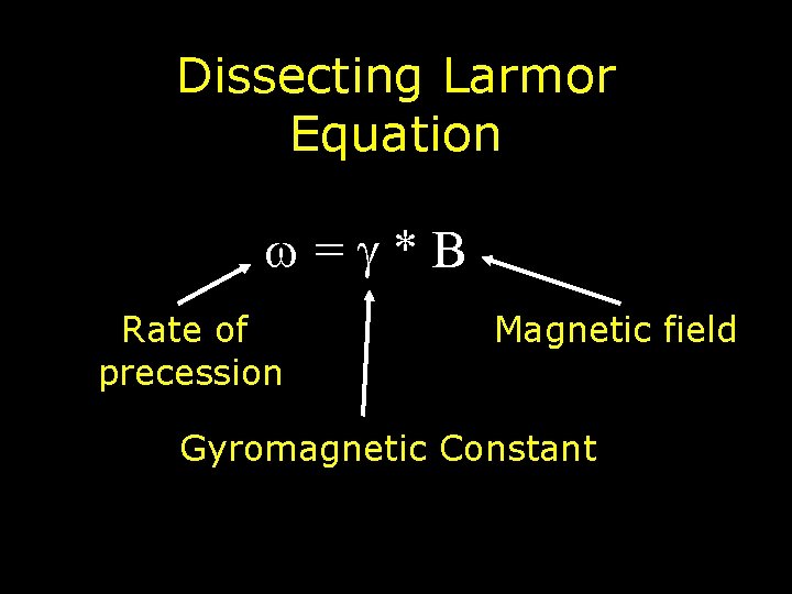 Dissecting Larmor Equation = * B Rate of precession Magnetic field Gyromagnetic Constant 