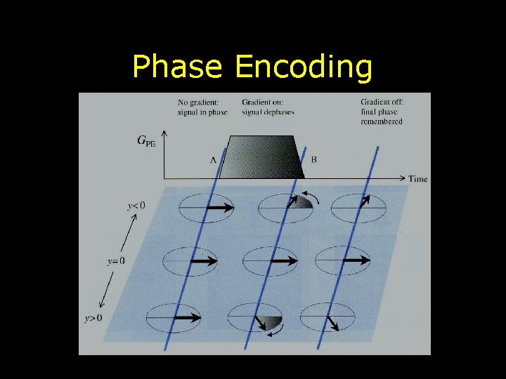 Phase Encoding 