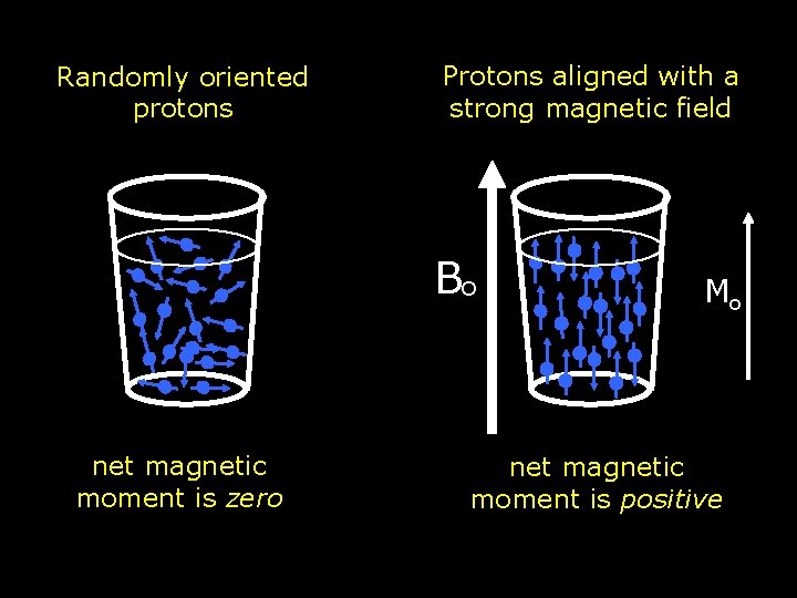 Randomly oriented protons Protons aligned with a strong magnetic field Bo net magnetic moment