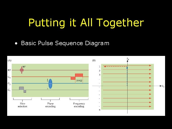 Putting it All Together • Basic Pulse Sequence Diagram 