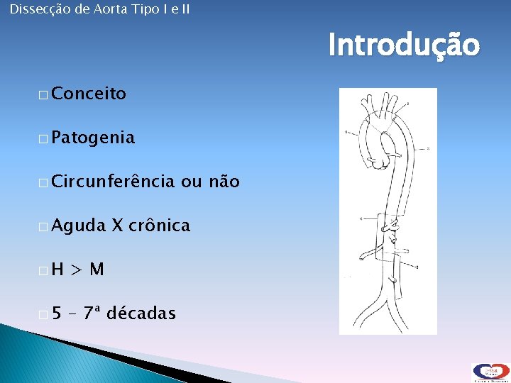 Dissecção de Aorta Tipo I e II Introdução � Conceito � Patogenia � Circunferência